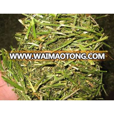 Spain High Quality Alfalfa Hay Bales Lucerne Fodder