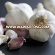 Large Chinese garlic high quality garlic.