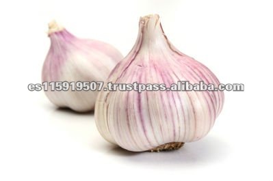 FRESH GARLIC