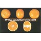 CITRUS MANDARIN TREE