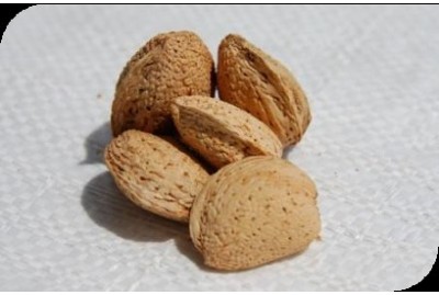 ALMOND MOLLAR