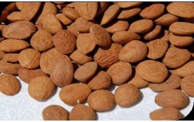 ALMOND FROM SPAIN